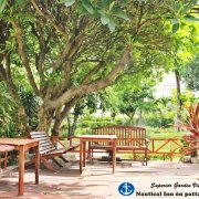 superior garden view 10